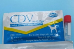 狗瘟试纸,快速检测犬瘟热病毒的关键步骤