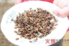 吃瓜娱乐圈花盆,揭秘明星们的“秘密花园”