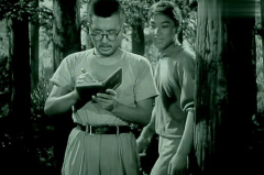 好看的老电影,那些年我们一起追过的经典老电影
