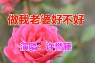 做我老婆好不好 mp3,MP3中的爱情告白与情感共鸣