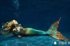 美人鱼的图片,图片揭示的神秘生物面纱