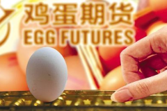 鸡蛋期货,风险与机遇并存